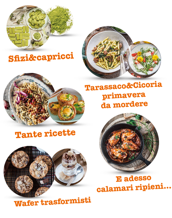 Ci Piace Cucinare Ci Piace Cucinare