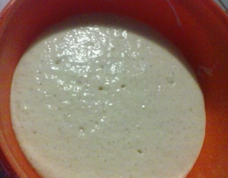 Panettone al cioccolato