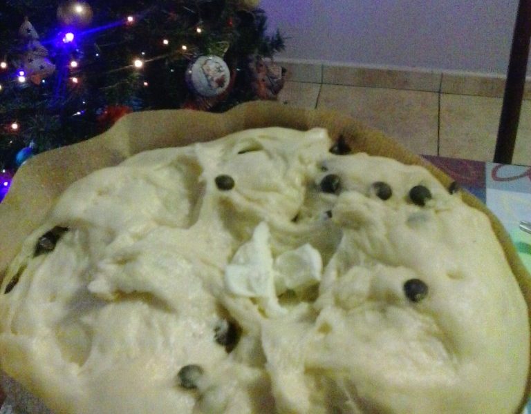 Panettone al cioccolato