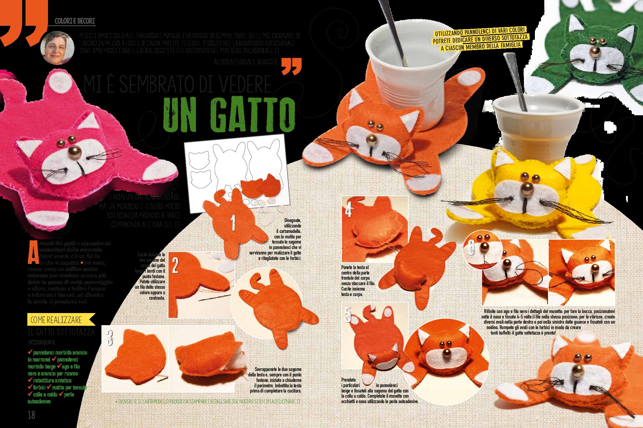 Mi è sembrato di vedere UN GATTO