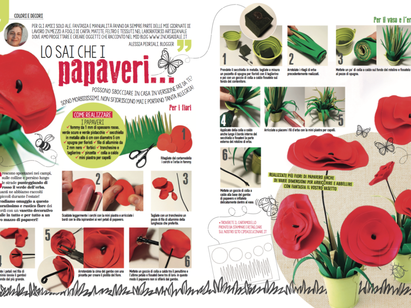 Lo sai che i papaveri…