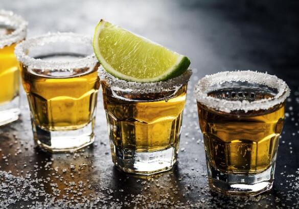 La migliore tequila e agave