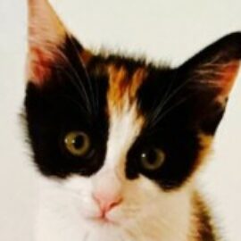 Foto del profilo di Manuela